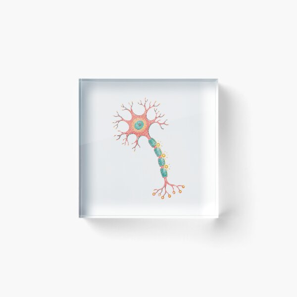 Item preview, Colorful Neuron Synapse Neuroscience Nerve Cell designed and sold by eignvalue.