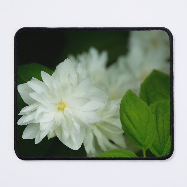 Item preview, White Flowerser in Lush Foliage designed and sold by jklune.