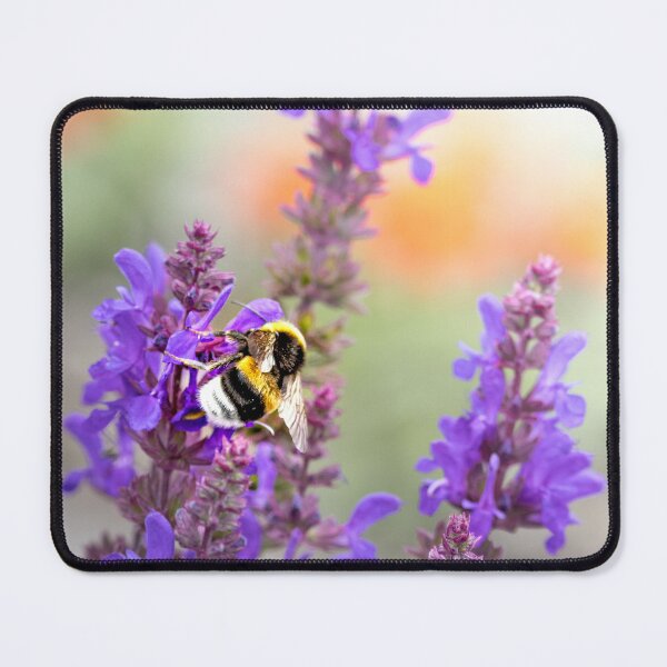 Item preview, Bumblebee Among Purple Blossoms designed and sold by little_macro_love.