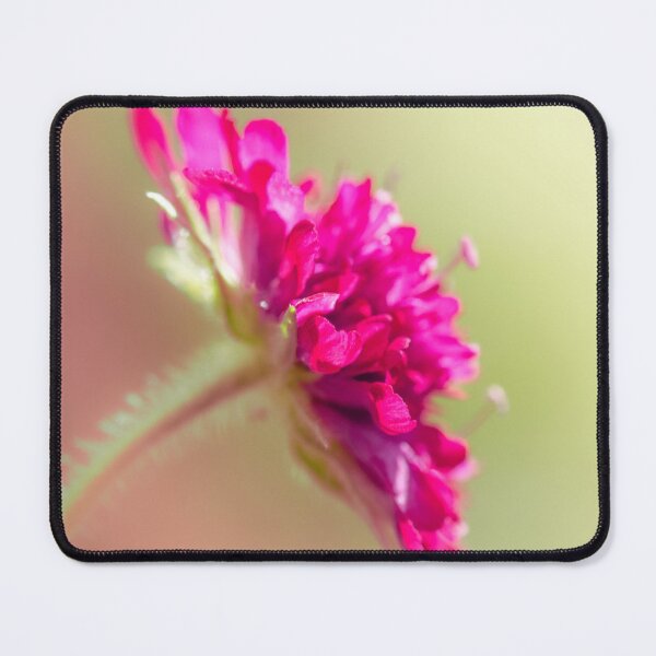 Item preview, Crimson Clover in Soft Light designed and sold by little_macro_love.