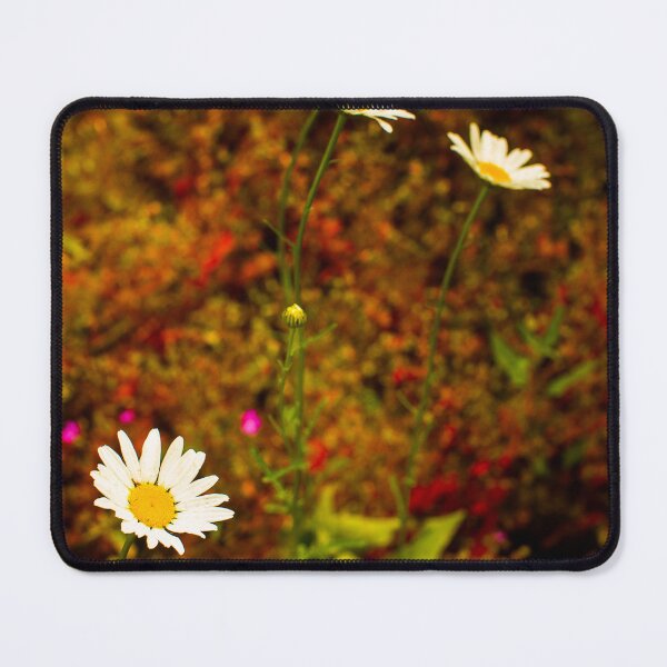 Item preview, Wild Daisies in Bloom designed and sold by jklune.