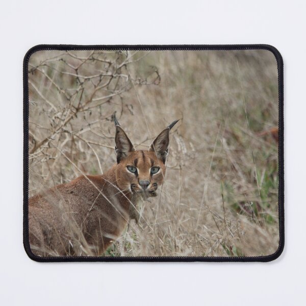 Item preview, Feline Hunter designed and sold by ZA-Designs.
