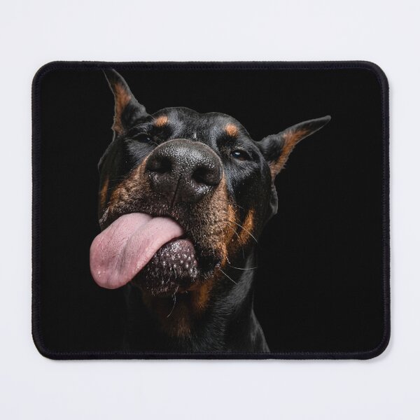 Item preview, Funny Derpy Doberman Tongue Out designed and sold by digitalbob60.