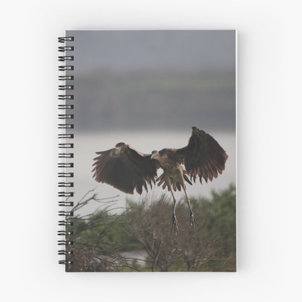 Item preview, Coming in for a Landing designed and sold by Josh_and_the_creatures.