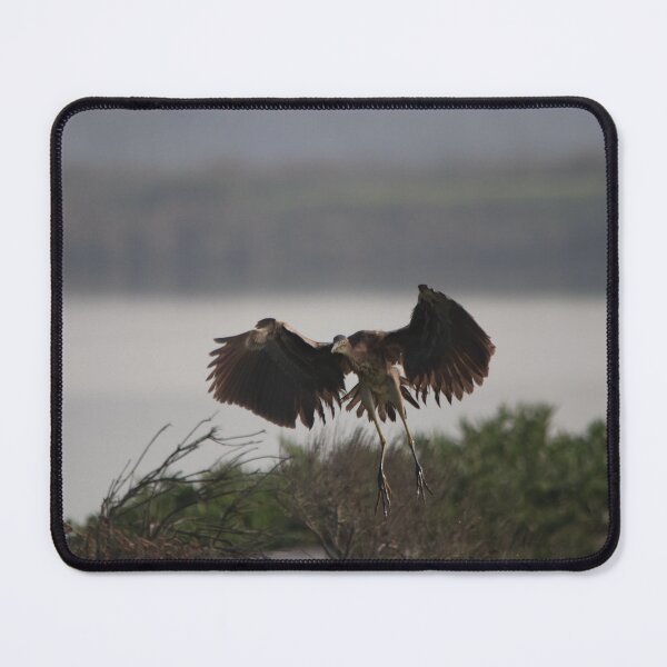 Item preview, Coming in for a Landing designed and sold by ZA-Designs.