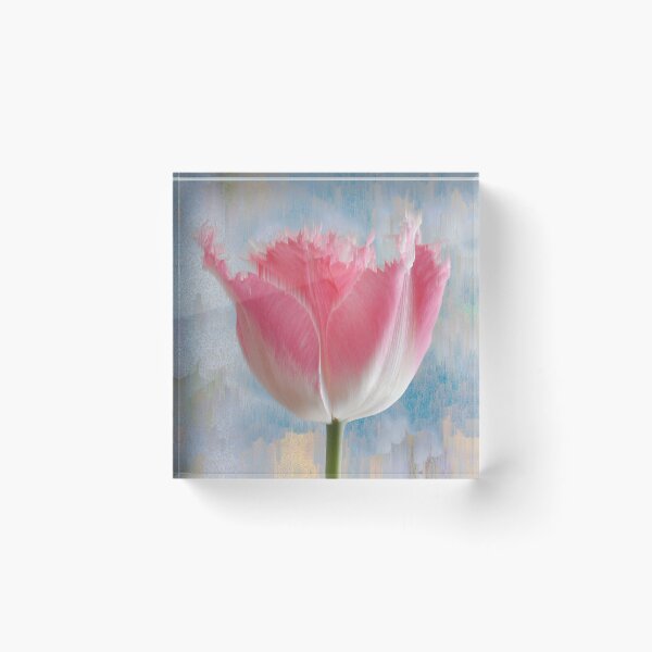 Item preview, Dreamlike Pink Tulip designed and sold by ccitypictures.