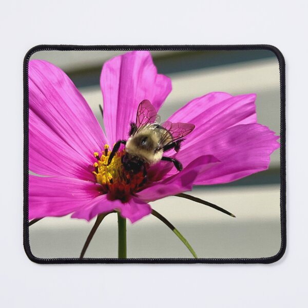 Item preview, Flowers and Pollinators  designed and sold by StudiobyGeorgette.