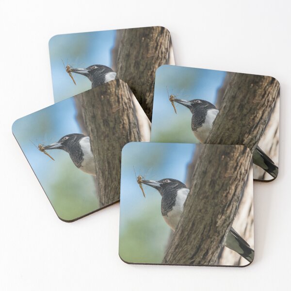 Item preview, ave carnicera pía designed and sold by robdanimalphotography.