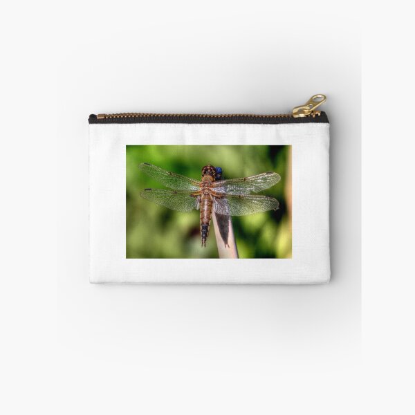 Item preview, Translucent designed and sold by Larry Trupp.