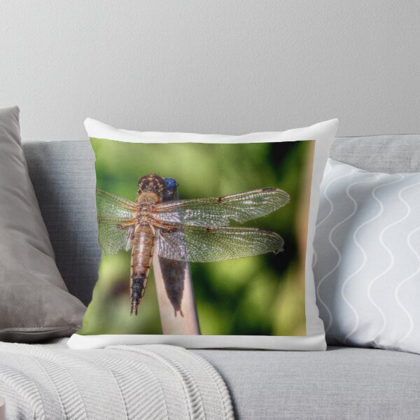 Item preview, Translucent designed and sold by Larry Trupp.