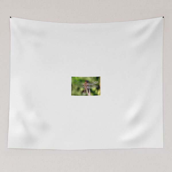 Item preview, Translucent designed and sold by Larry Trupp.