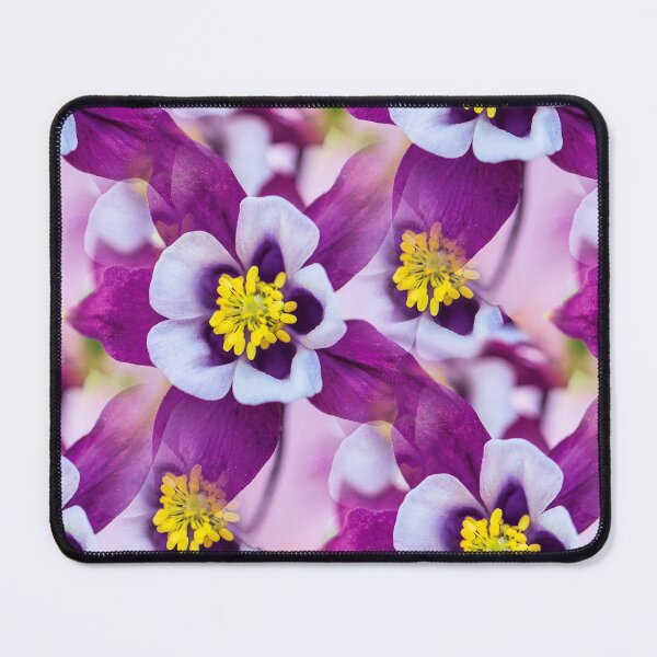 Item preview, Early Bird Purple and White Columbine Flowers designed and sold by kristalcurt.