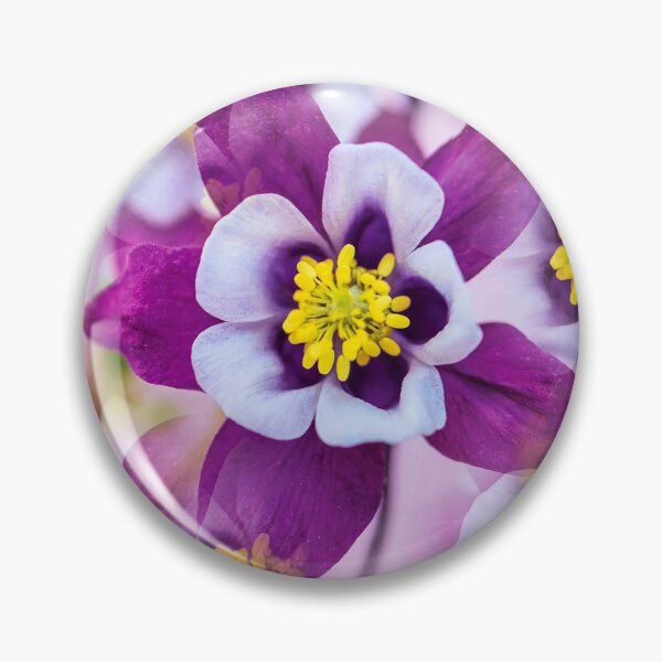 Item preview, Early Bird Purple and White Columbine Flowers designed and sold by kristalcurt.