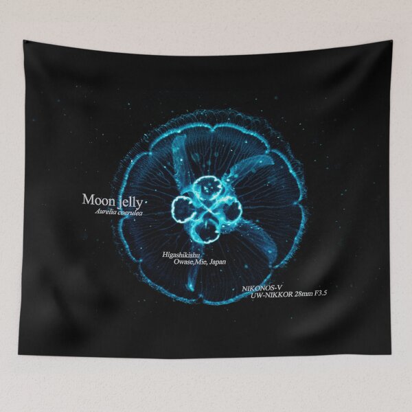 Item preview, Hovering jellyfish in the pitch-black underwater designed and sold by tank200bar.