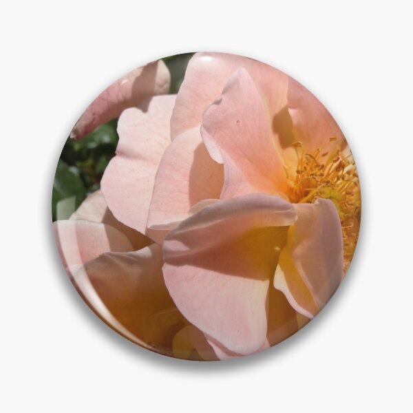 Item preview, Soft Pink Roses designed and sold by Betsy Phillips.