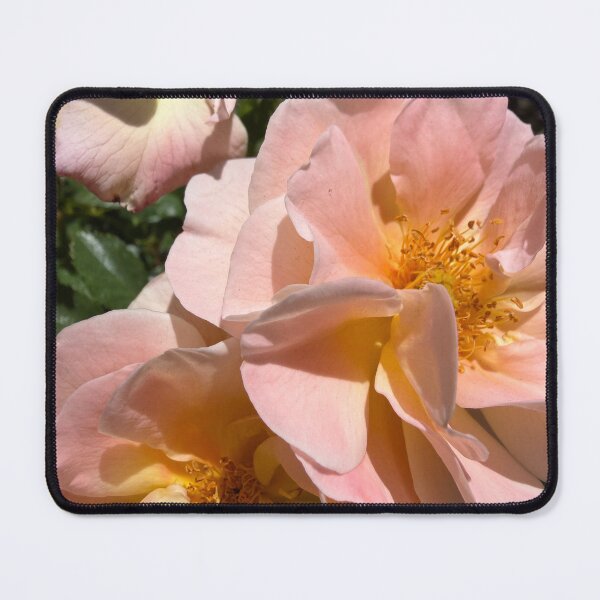 Item preview, Soft Pink Roses designed and sold by Betsy Phillips.