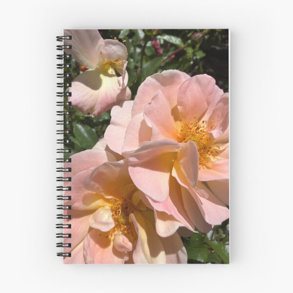 Item preview, Soft Pink Roses designed and sold by Betsy Phillips.