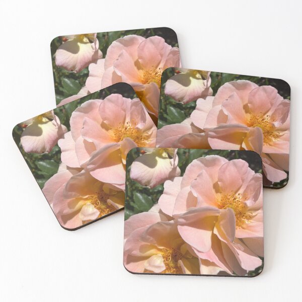 Item preview, Soft Pink Roses designed and sold by Betsy Phillips.