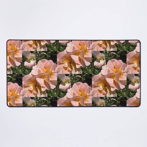 Item preview, Soft Pink Roses designed and sold by Betsy Phillips.