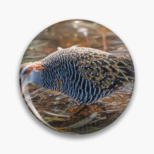 Item preview, Buff‑banded Rail at Herdsman Lake  designed and sold by Jan Fijolek.