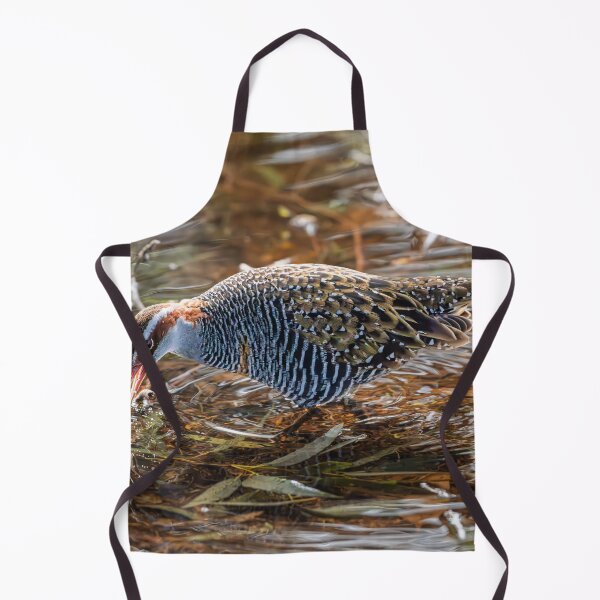 Item preview, Buff‑banded Rail at Herdsman Lake designed and sold by Jan Fijolek.