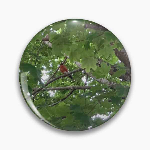 Item preview, Robin in a Tree designed and sold by Amanda1775.