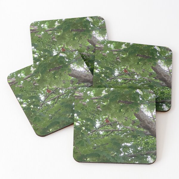 Item preview, Robin in a Tree designed and sold by Amanda1775.