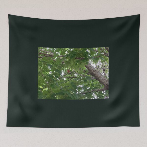 Item preview, Robin in a Tree designed and sold by Amanda1775.