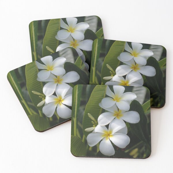 Item preview, Tropical Hawaiian White Plumeria Flowers In Dappled Sunlight designed and sold by DEC02.