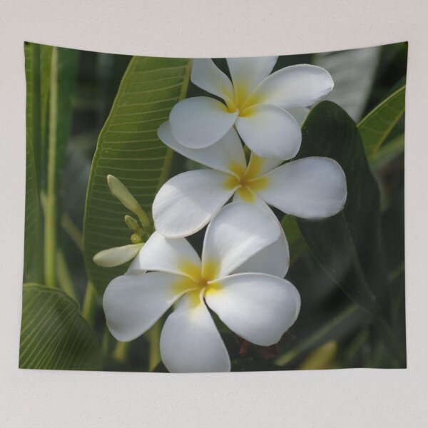 Item preview, Tropical Hawaiian White Plumeria Flowers In Dappled Sunlight designed and sold by DEC02.
