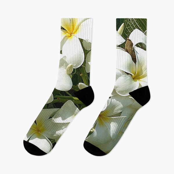 Artikelvorschau, Exotische tropische weiße Plumeria-Inselblumen mit Biene entworfen und verkauft von DEC02.