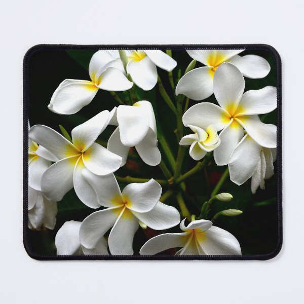 Item preview, Hawaiian Island Tropical Plumeria Flowers Art Photo designed and sold by DEC02.