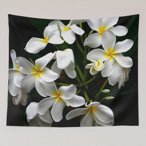 Item preview, Hawaiian Island Tropical Plumeria Flowers Art Photo designed and sold by DEC02.