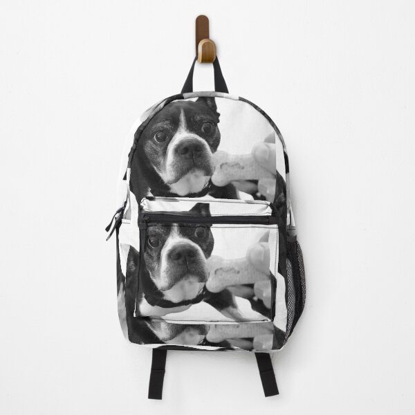 Item preview, Boston Terrier Rescue Dog Wants A Biscuit designed and sold by Happykale.