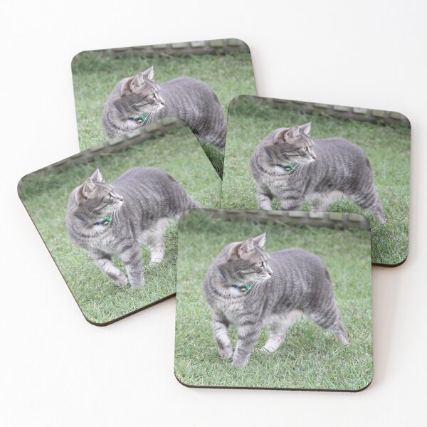 Item preview, Grey Tabby Cat Walking On Grass designed and sold by 27Tammy27.