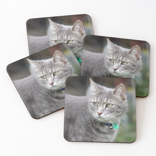 Item preview, Grey Tabby Cat Looking Back designed and sold by 27Tammy27.