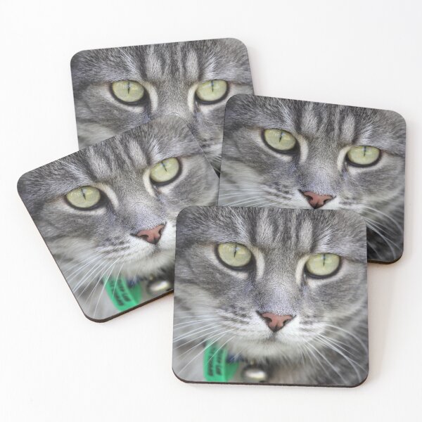 Item preview, Stunning Grey Tabby Cat Face Macro designed and sold by 27Tammy27.
