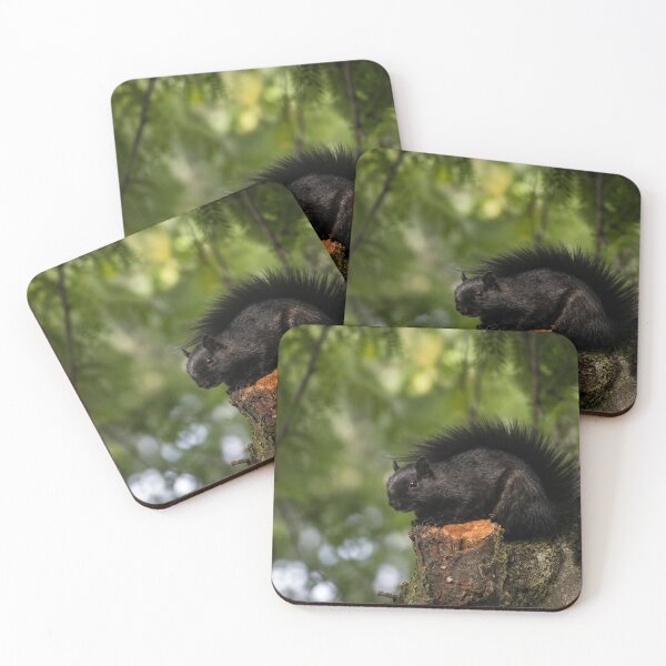 Item preview, Black Squirrel Woodland Watch designed and sold by AutumnLeAnnDesigns.