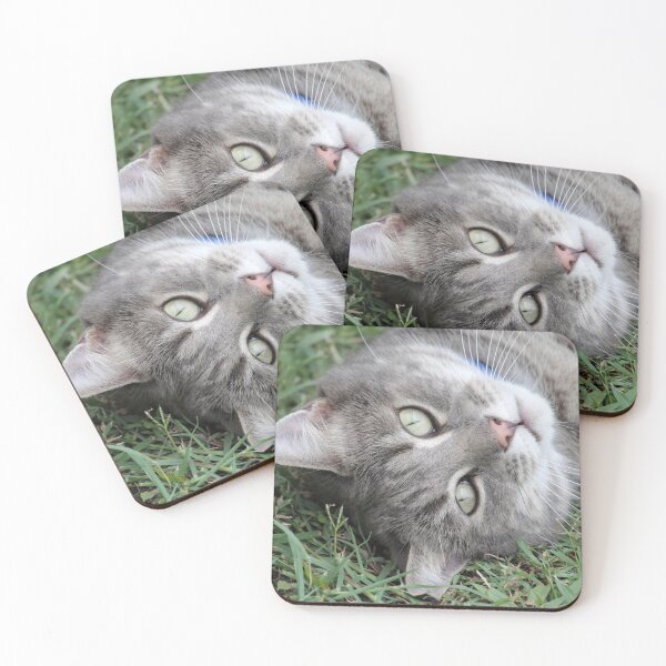 Item preview, Playful Grey Tabby Cat Rolling In Grass designed and sold by 27Tammy27.