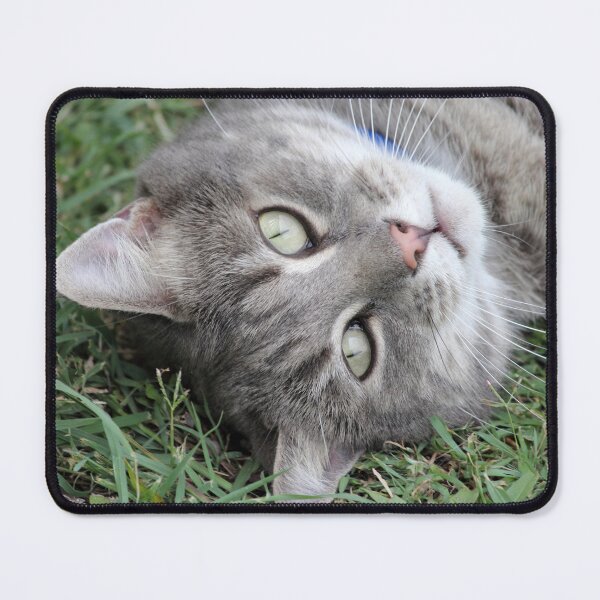 Item preview, Playful Grey Tabby Cat Rolling In Grass designed and sold by 27Tammy27.
