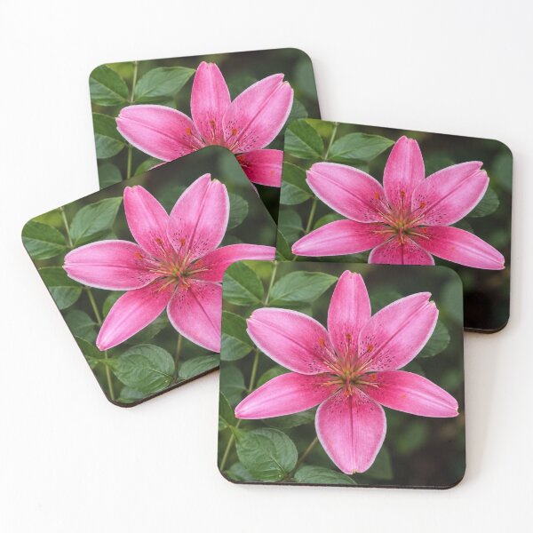Item preview, Radiant Pink Lily in Bloom designed and sold by AutumnLeAnnDesigns.