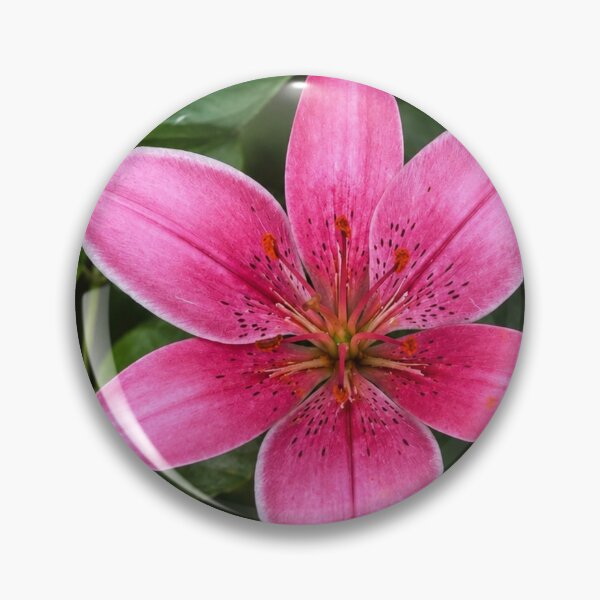 Item preview, Radiant Pink Lily in Bloom designed and sold by AutumnLeAnnDesigns.