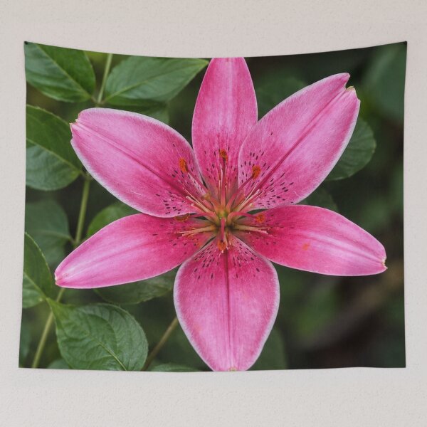 Item preview, Radiant Pink Lily in Bloom designed and sold by AutumnLeAnnDesigns.