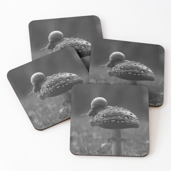 Item preview, Snail Mushroom designed and sold by Salabarriad.