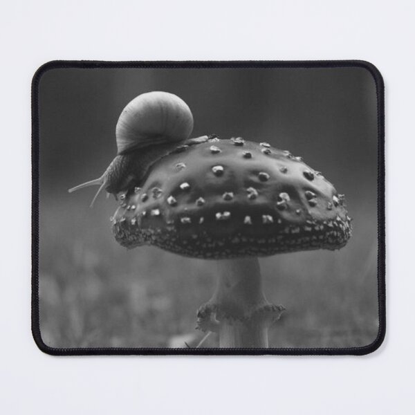 Item preview, Snail Mushroom designed and sold by Salabarriad.