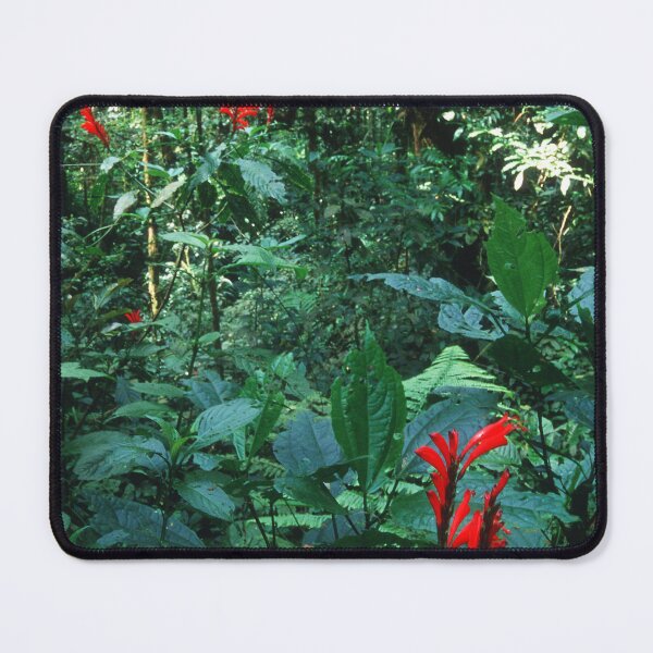 Item preview, Costa Rica Tropical Lush Jungle Rain Forest designed and sold by DEC02.