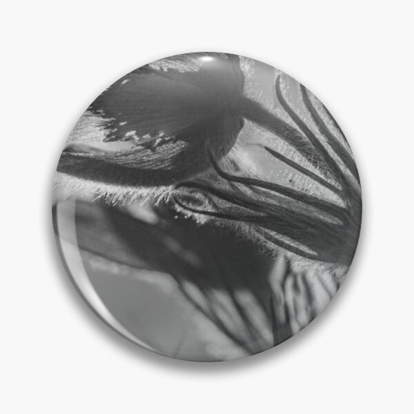 Item preview, Delicate Pasque Flower Sunlight designed and sold by Salabarriad.