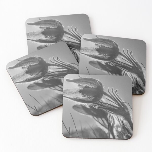 Item preview, Delicate Pasque Flower Sunlight designed and sold by Salabarriad.