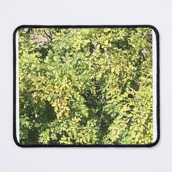 Item preview, Greenery in the world  designed and sold by TruptiLokhande7.
