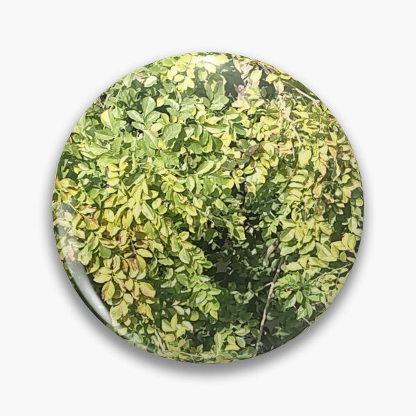 Item preview, Greenery in the world  designed and sold by TruptiLokhande7.